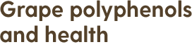 Grape polyphenols and health