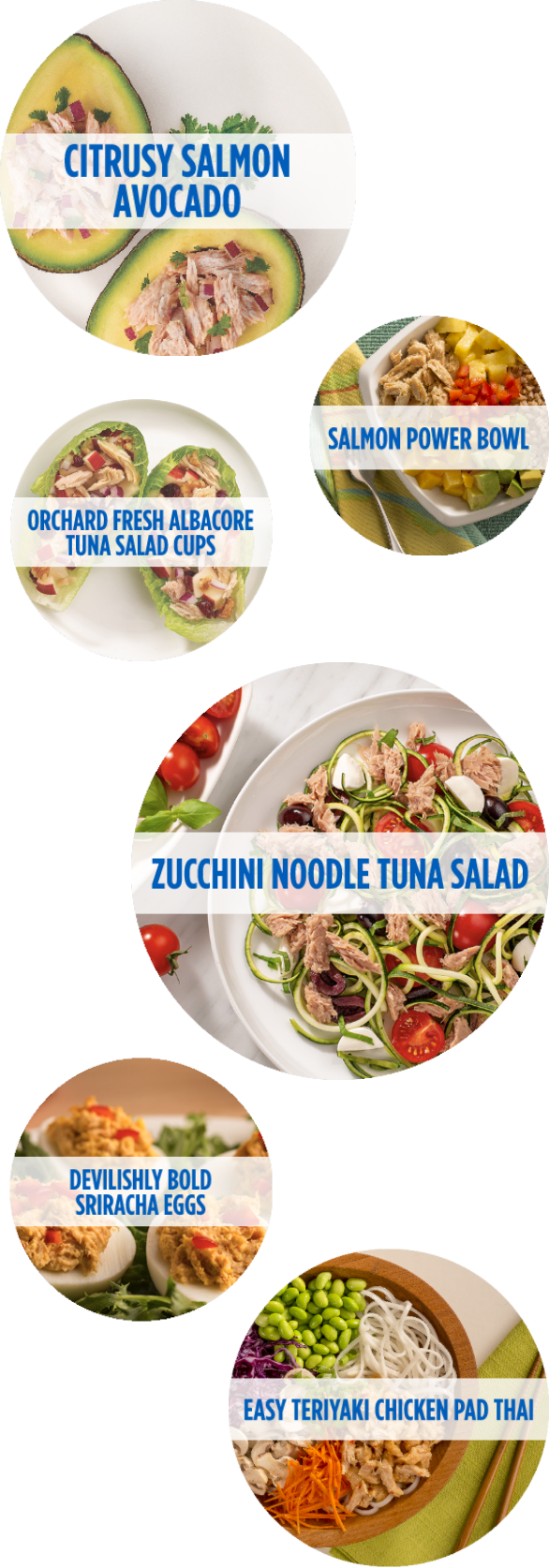 EASY TERIYAKI CHICKEN PAD THAI | SALMON POWER BOWL | CITRUSY SALMON AVOCADO | ORCHARD FRESH ALBACORE TUNA SALAD CUPS | DEVILISHLY BOLD SRIRACHA EGGS | ZUCCHINI NOODLE TUNA SALAD